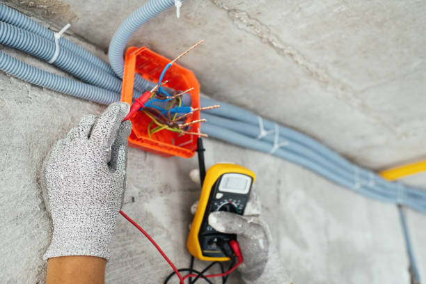 Best Electric Panel Repair  in Eureka, MT